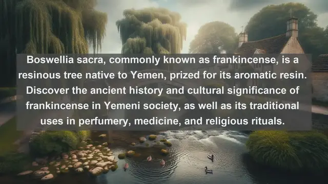 Video thumbnail for Discover Yemen's Natural Treasures: Top 10 Native Plants You Need to Know