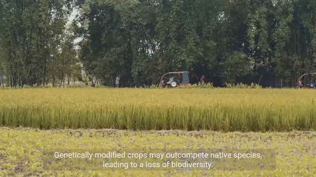 Video thumbnail for Exploring the Ethical Considerations of Biotechnology