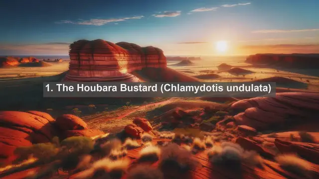 Video thumbnail for Discovering Uzbekistan's Avian Treasures: Top 10 Native Birds of Uzbekistan