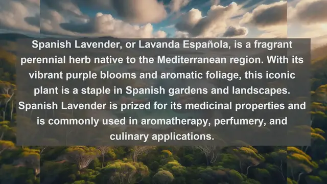 Video thumbnail for Unveiling Spain's Botanical Treasures: Top 10 Native Plants You Need to Discover!