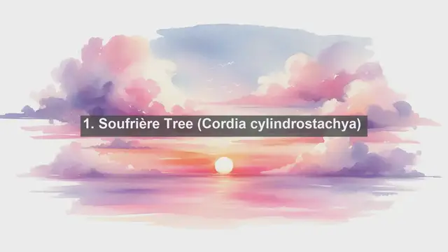 Video thumbnail for Exploring Saint Vincent and the Grenadines: Unveiling the Top 10 Native Plants