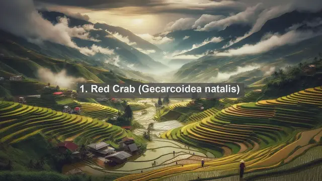 Video thumbnail for Unveiling Christmas Island's Natural Treasures: Top 10 Native Fauna Species