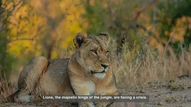 Video thumbnail for 10 Key Threats to Lion Habitats: Understanding the Crisis