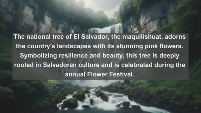 Video thumbnail for Discovering El Salvador's Botanical Treasures: Top 10 Native Plants