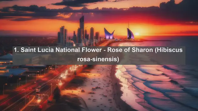 Video thumbnail for Unveiling Saint Lucia's Botanical Wonders: Top 10 Native Plants Revealed!