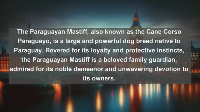 Video thumbnail for Discover Paraguay's Pet Paradise: Top 10 Beloved Companions Revealed!