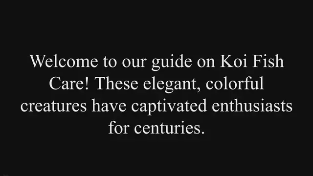'Video thumbnail for Koi Fish Care Tips: A Guide to Healthy, Vibrant Koi'