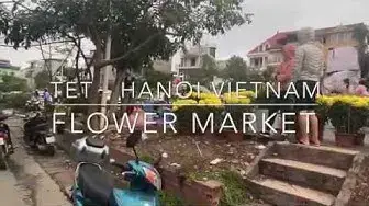 Video thumbnail for Flower Market During TET (Lunar New Year)  - Hanoi Vietnam - An Insiders Guide