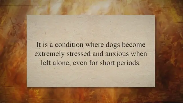 Video thumbnail for Why Do Some Dogs Have Separation Anxiety? Understanding the Root Causes