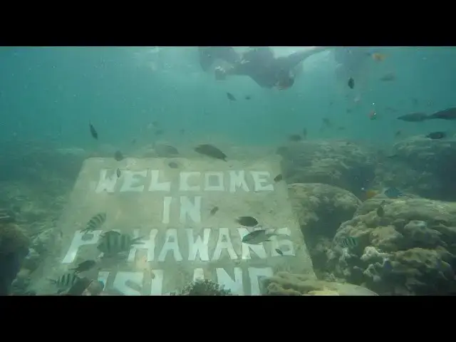 Video thumbnail for Snorkeling Pahawang Lampung