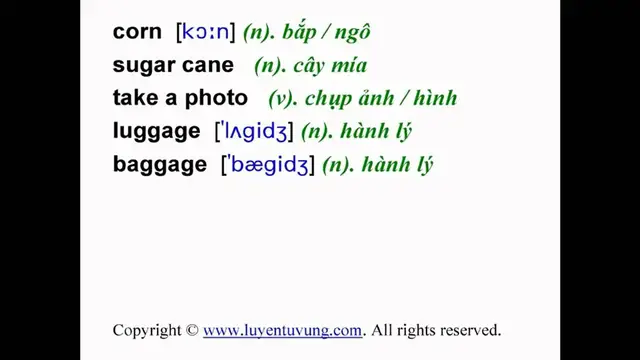Video thumbnail for Learn English Vocabulary - Grade 8 - Unit 11 - Lesson 01
