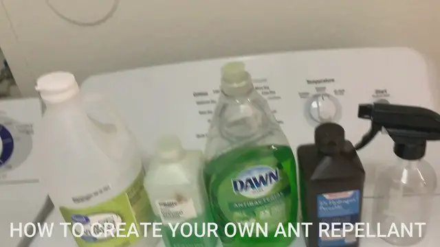 Video thumbnail for How to make your own ant repellant