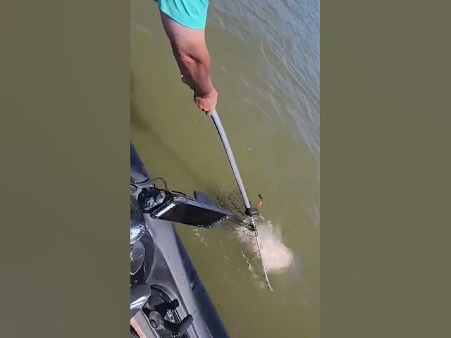 Video thumbnail for 🚨Texas Grandma Takes Her Grandkids On A Guided Catfish Trip – And They Boat A 50-Pound Blue🤯