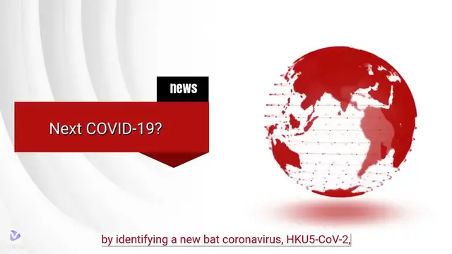 Video thumbnail for New Bat Virus Discovered: Could It Be the Next COVID-19?