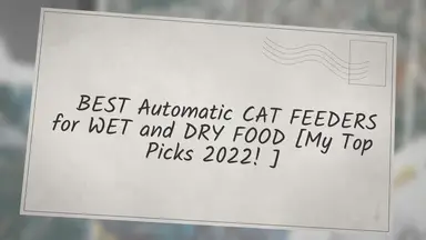 'Video thumbnail for ✔ BEST Automatic CAT FEEDERS for WET and DRY FOOD [My Top Picks 2022!]'
