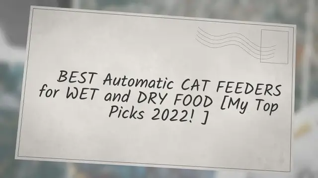 'Video thumbnail for ✔ BEST Automatic CAT FEEDERS for WET and DRY FOOD [My Top Picks 2022!]'