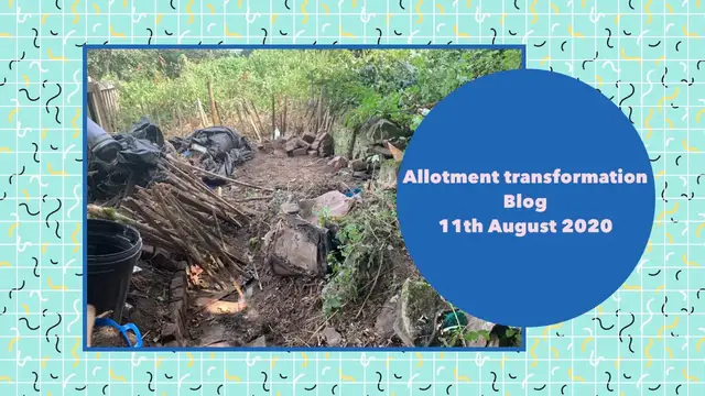 Video thumbnail for Allotment Transformation | Exciting Progress & Big Updates – August 11th 2020