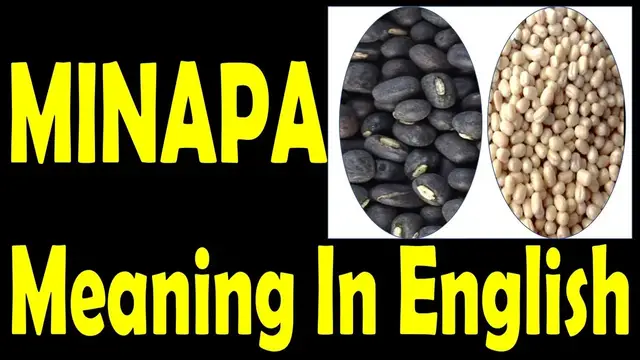 'Video thumbnail for Minapa Meaning in English | Minapappu Scientific Name'