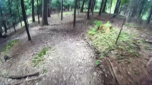 'Video thumbnail for Enduro MTB  Łysa Góra single track'