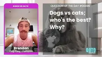 Video thumbnail for A cats-only household made Brendan loves felines. Cats all the way!