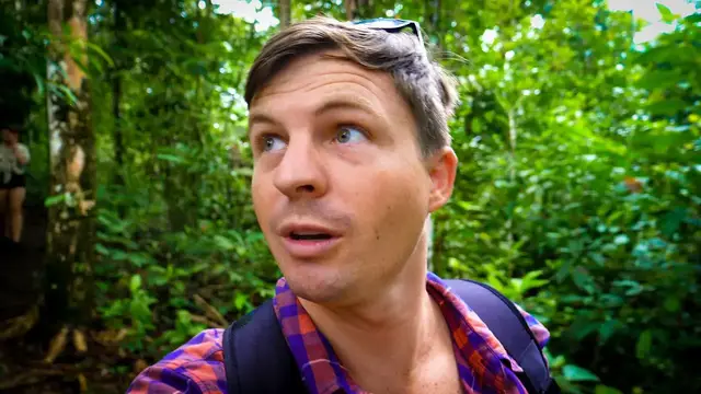 Video thumbnail for Sleeping in the Costa Rican Rainforest