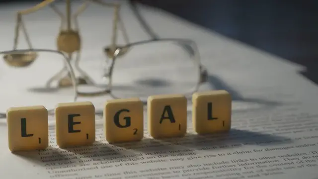 Video thumbnail for Social Policy and the Family