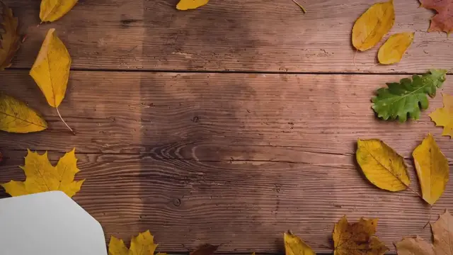 Video thumbnail for 20 Words of Encouragement