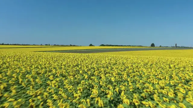'Video thumbnail for Guided Meditation Relaxing Music to Calm Your Mind and Relieve Stress and Anxiety'