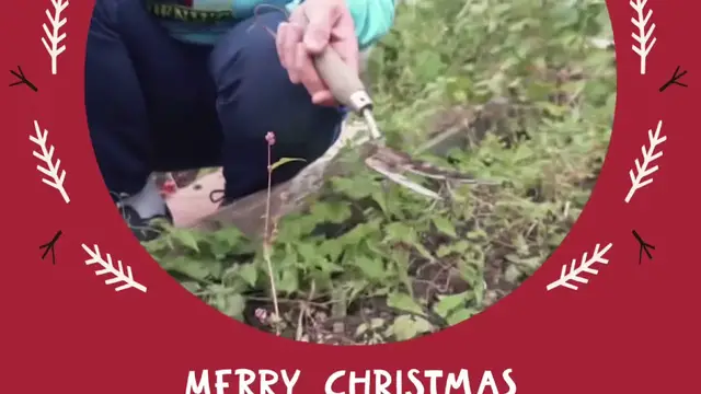 'Video thumbnail for Wishing Everyone a Merry Christmas! 🎄✨'
