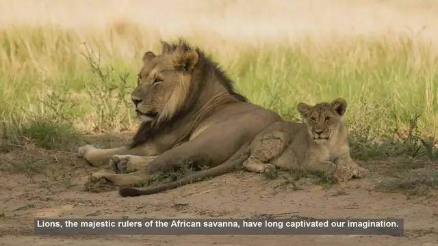 Video thumbnail for 10 Famous Lion Dens: Hidden Sanctuaries of Africa's Big Cats