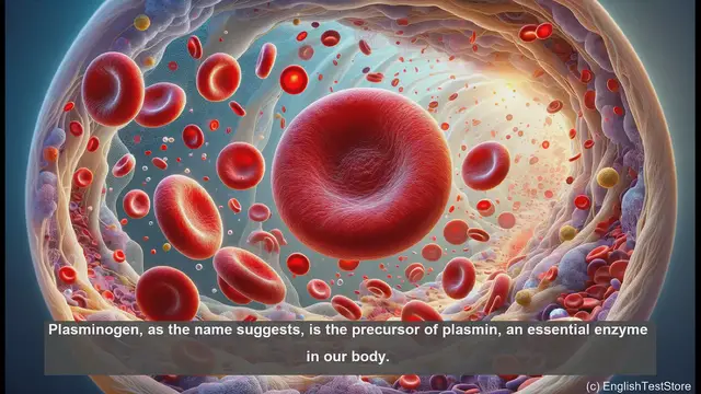 Video thumbnail for Plasminogen in biology