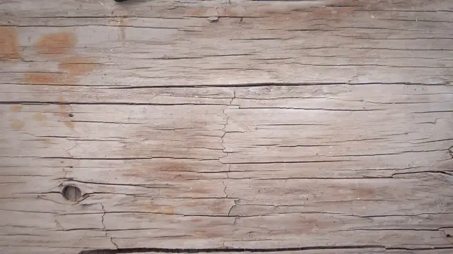 Video thumbnail for Yeast infection late period negative pregnancy test