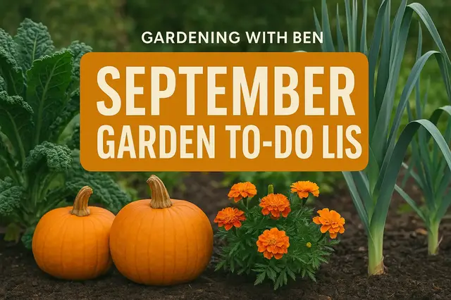 'Video thumbnail for September 13 Gardening Diary | Seasonal Allotment Progress & Autumn Update 2018'