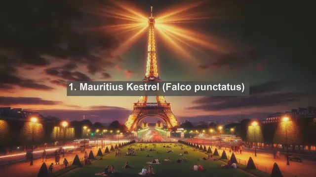 Video thumbnail for Exploring Mauritius' Natural Treasures: Top 10 Native Fauna You Need to See!