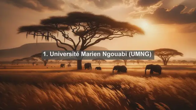 Video thumbnail for Navigating Academic Excellence: Top 10 Universities in Congo 2024
