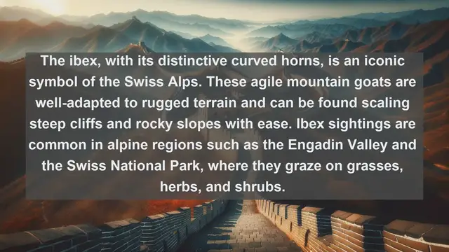 Video thumbnail for Exploring Switzerland's Natural Treasures: Top 10 Native Fauna You Need to See