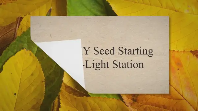 Video thumbnail for Easy DIY Seed Starting Grow-Light Station