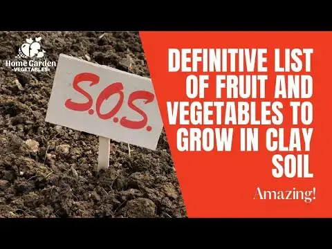 Video thumbnail for Definitive List of Fruit And Vegetables To Grow In Clay Soil