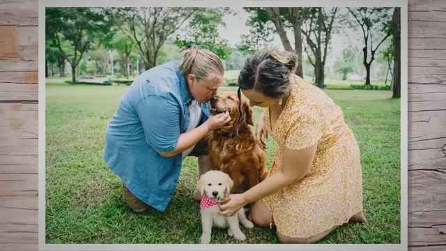 'Video thumbnail for If The Dogs Are Offspring Of A Monohybrid Cross... » QuizTablet'