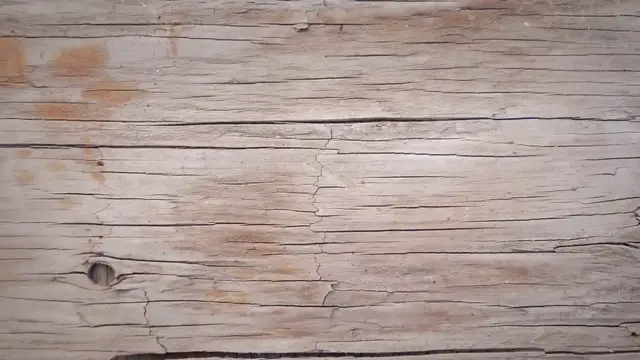 Video thumbnail for Savitljivi stup od mahovine: pregled Mossifyjeve potpore za biljke