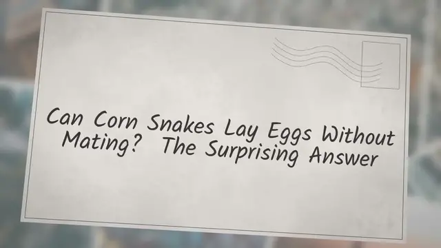 'Video thumbnail for Can Corn Snakes Lay Eggs Without Mating? The Surprising Answer – Reptiles & Amphibians'