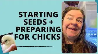 Video thumbnail for Starting Seeds + Preparing For Chicks Day 2358 Experimental Homesteader