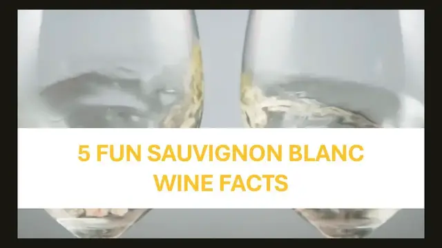 'Video thumbnail for 5 Fun Sauvignon Blanc Wine Facts'