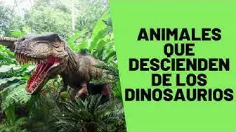 'Video thumbnail for Animales descendientes de los dinosaurios'