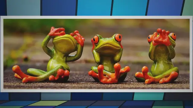 'Video thumbnail for What Can Live With Red-Eyed Tree Frogs. A Complete Guide – Reptiles & Amphibians'