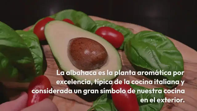 Video thumbnail for Riega la albahaca así y pon la plántula en este lugar: “¡guau!”