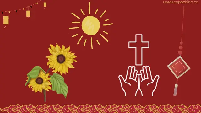 Video thumbnail for What do sunflowers represent?