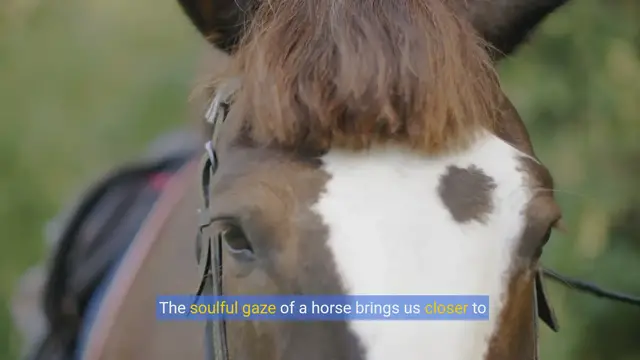 Video thumbnail for Horse Care 101: A Beginner's Guide to Keeping Your Horse Happy & Healthy copy