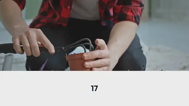 Video thumbnail for Growing Potatoes In Containers & Pots