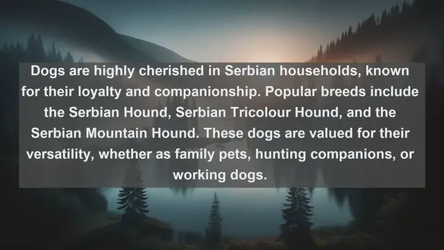 Video thumbnail for Discover the Perfect Pet: Top 10 Favorite Pets in Serbia
